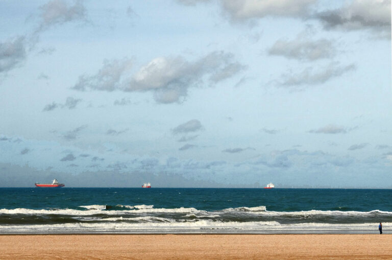 Nenad Nikolic - Holland coast